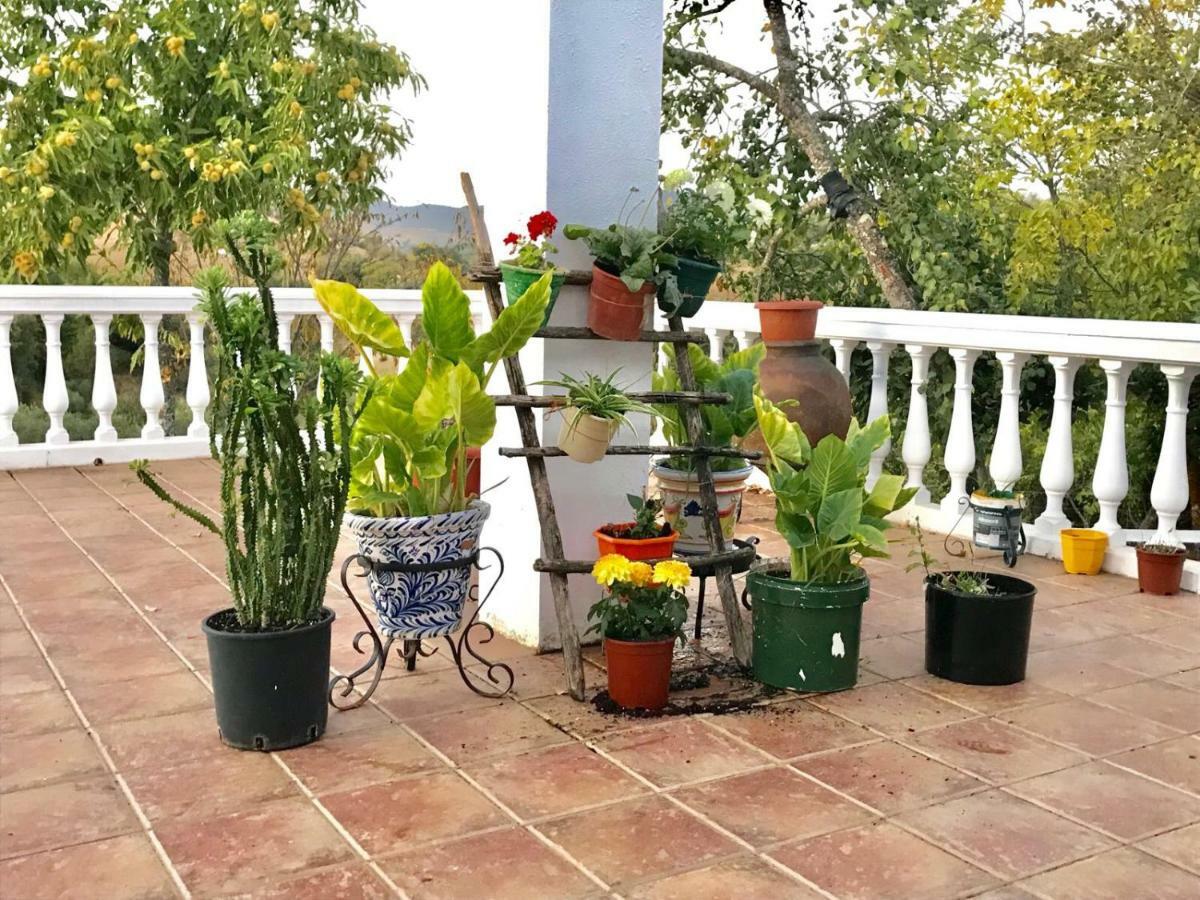 Casa Rural En コンスタンティナ エクステリア 写真