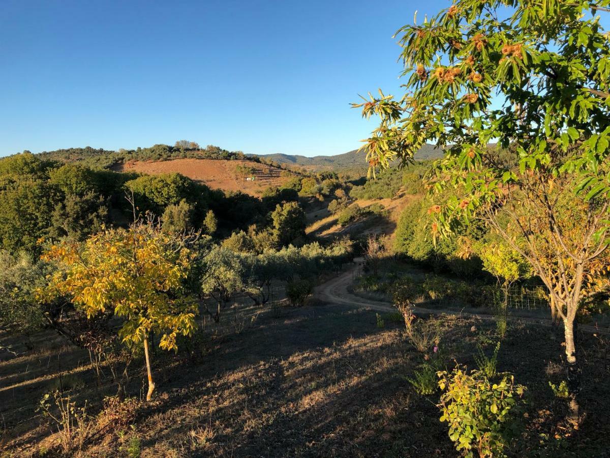 Casa Rural En コンスタンティナ エクステリア 写真